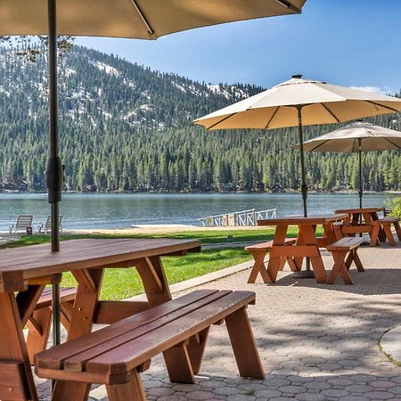 Cozy Studio W/Kitchenette Easily Accessible #113 At Donner Lake Village Truckee Ngoại thất bức ảnh